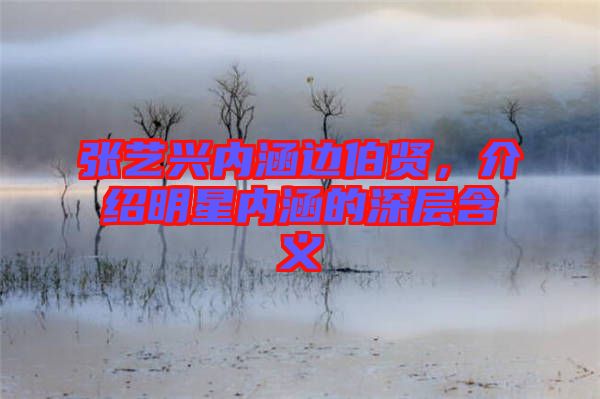張藝興內涵邊伯賢,介紹明星內涵的深層含義