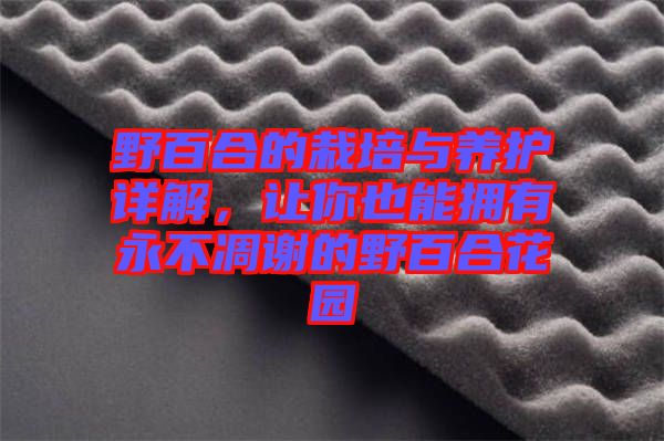 野百合的栽培與養(yǎng)護(hù)詳解,讓你也能擁有永不凋謝的野百合花園