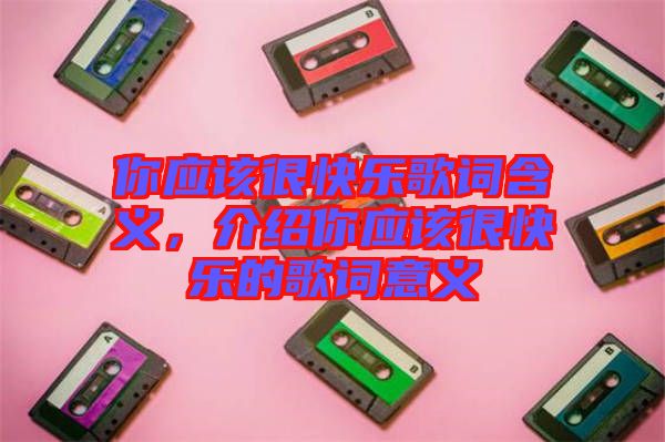 你應(yīng)該很快樂(lè)歌詞含義,介紹你應(yīng)該很快樂(lè)的歌詞意義
