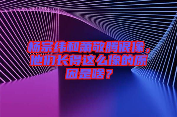 楊宗緯和蕭敬騰很像，他們長得這么像的原因是啥？