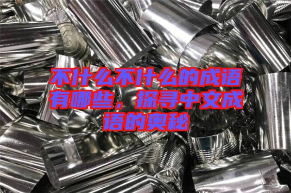 不什么不什么的成語有哪些,探尋中文成語的奧秘