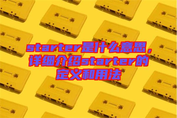 starter是什么意思,詳細介紹starter的定義和用法