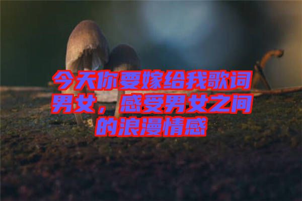 今天你要嫁給我歌詞男女,感受男女之間的浪漫情感