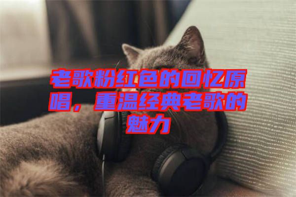 老歌粉紅色的回憶原唱,重溫經(jīng)典老歌的魅力
