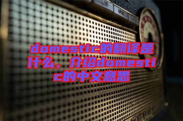 domestic的翻譯是什么,介紹domestic的中文意思