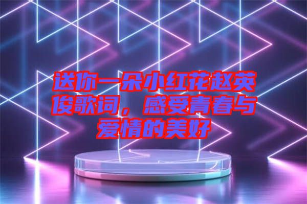 送你一朵小紅花趙英俊歌詞,感受青春與愛情的美好