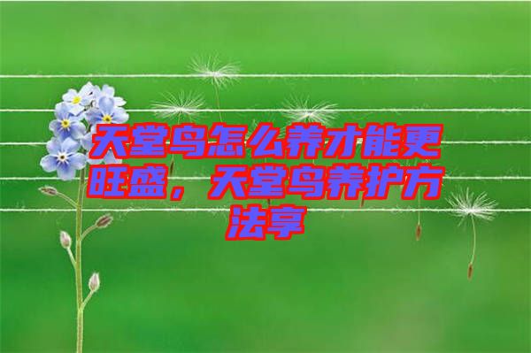 天堂鳥怎么養才能更旺盛,天堂鳥養護方法享