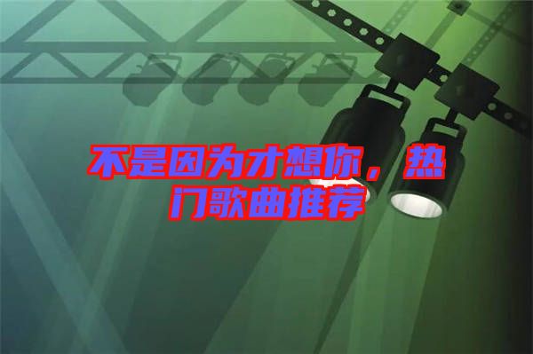 不是因為才想你,熱門歌曲推薦