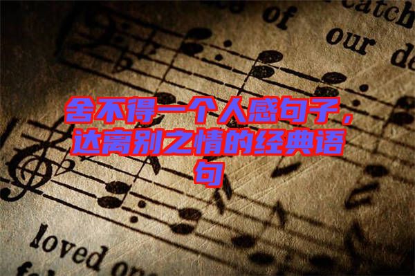 舍不得一個人感句子,達離別之情的經典語句