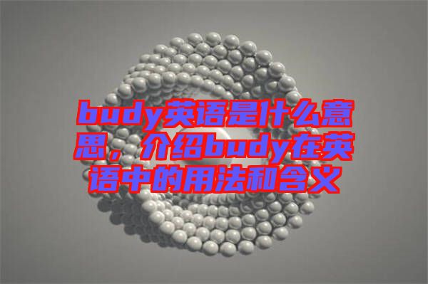 budy英語(yǔ)是什么意思，介紹budy在英語(yǔ)中的用法和含義