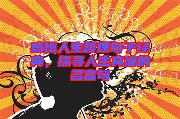 感悟人生哲理句子經典,探尋人生真諦的名言句