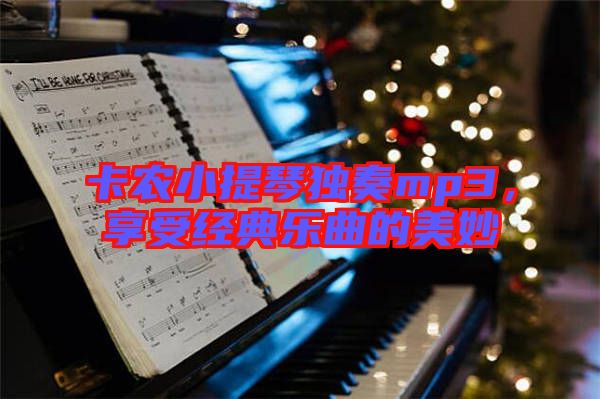 卡農小提琴獨奏mp3,享受經典樂曲的美妙