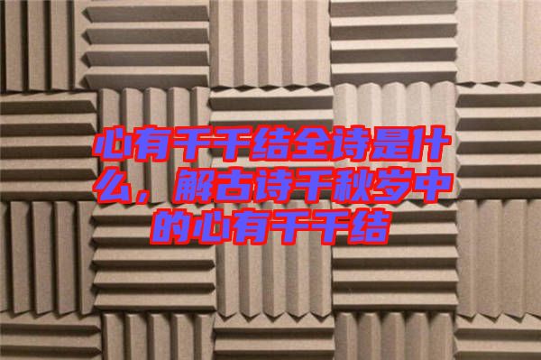 心有千千結(jié)全詩是什么,解古詩千秋歲中的心有千千結(jié)