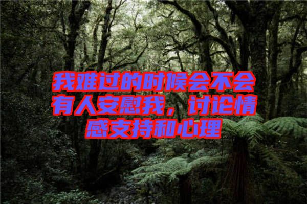 我難過的時候會不會有人安慰我，討論情感支持和心理