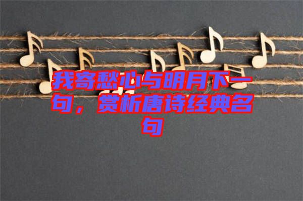 我寄愁心與明月下一句,賞析唐詩經典名句