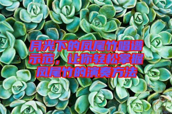 月光下的鳳尾竹唱譜示范，讓你輕松掌握鳳尾竹的演奏方法