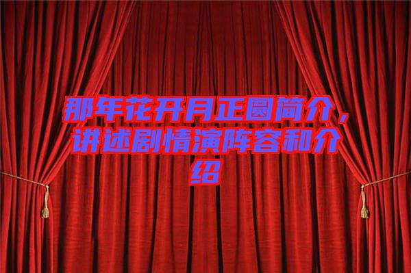 那年花開月正圓簡介,講述劇情演陣容和介紹