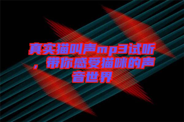 真實(shí)貓叫聲mp3試聽,帶你感受貓咪的聲音世界