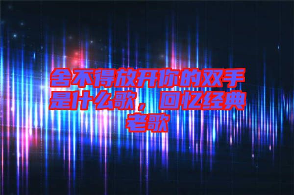 舍不得放開你的雙手是什么歌,回憶經典老歌
