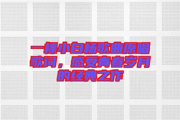 一棵小白楊歌曲原唱歌詞,感受青春歲月的經(jīng)典之作