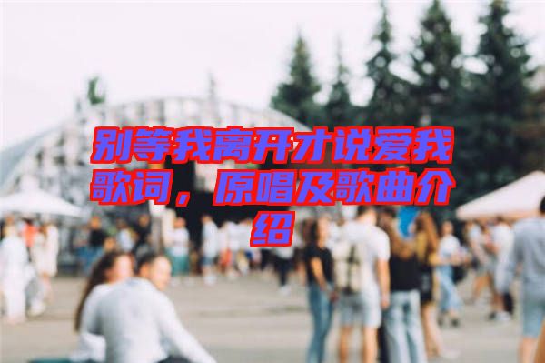 別等我離開(kāi)才說(shuō)愛(ài)我歌詞,原唱及歌曲介紹