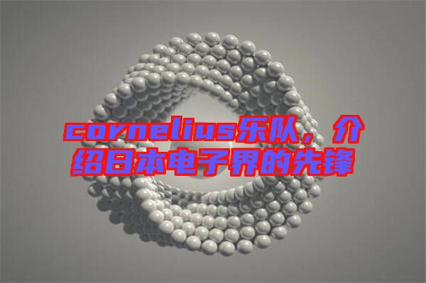 cornelius樂隊,介紹日本電子界的先鋒