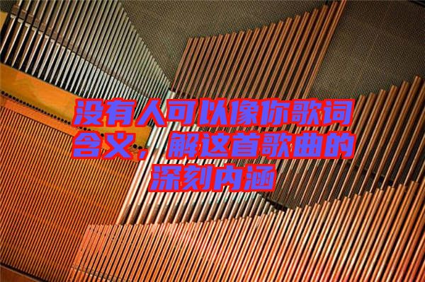 沒有人可以像你歌詞含義,解這首歌曲的深刻內涵