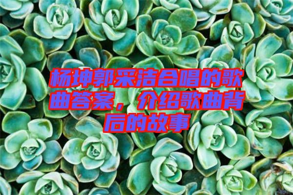 楊坤郭采潔合唱的歌曲答案,介紹歌曲背后的故事