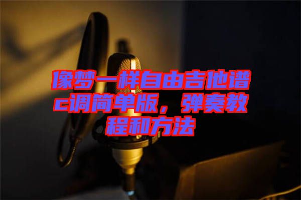 像夢(mèng)一樣自由吉他譜c調(diào)簡(jiǎn)單版,彈奏教程和方法