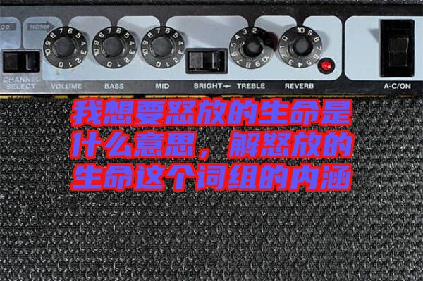 我想要怒放的生命是什么意思，解怒放的生命這個詞組的內涵