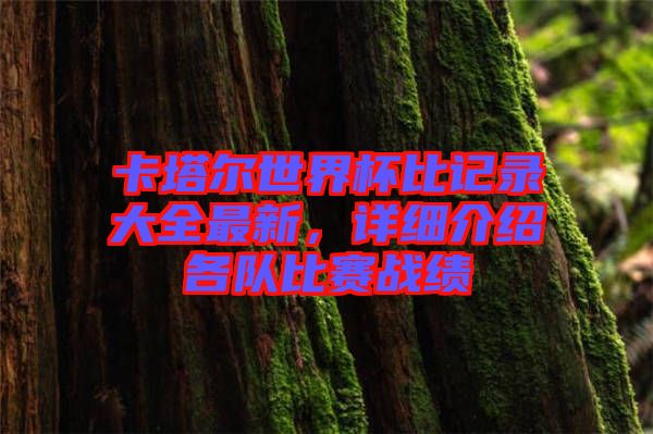 卡塔爾世界杯比記錄大全最新,詳細介紹各隊比賽戰績