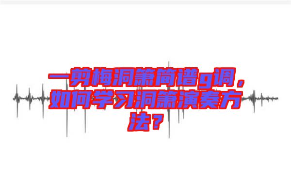 一剪梅洞簫簡(jiǎn)譜g調(diào),如何學(xué)習(xí)洞簫演奏方法?