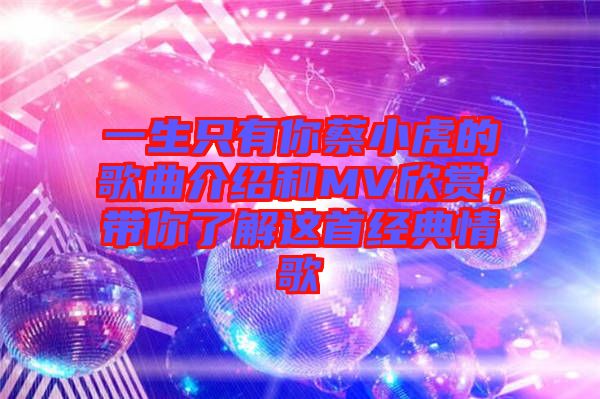 一生只有你蔡小虎的歌曲介紹和MV欣賞,帶你了解這首經典情歌