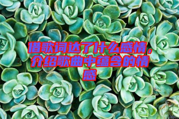 借歌詞達(dá)了什么感情,介紹歌曲中蘊(yùn)含的情感