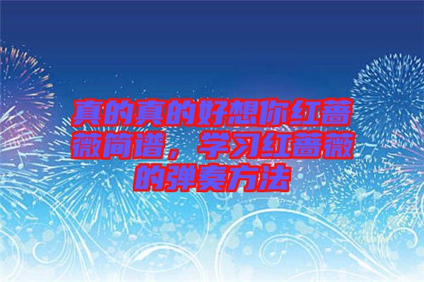 真的真的好想你紅薔薇簡(jiǎn)譜,學(xué)習(xí)紅薔薇的彈奏方法