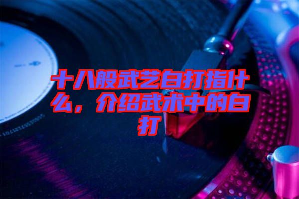 十八般武藝白打指什么,介紹武術(shù)中的白打