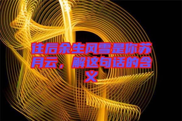 往后余生風雪是你蘇月云,解這句話的含義