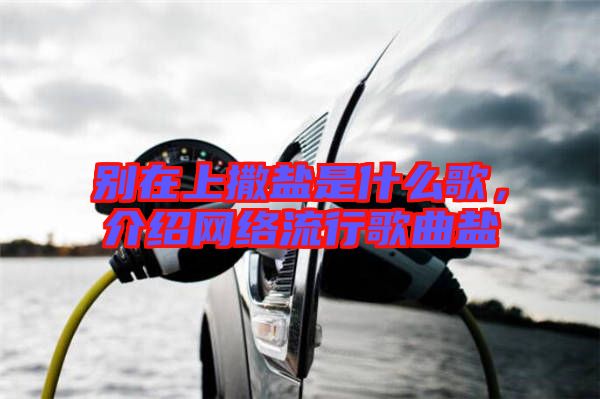別在上撒鹽是什么歌，介紹網絡流行歌曲鹽