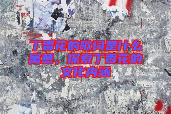 丁香花的歌詞是什么寓意,探索丁香花的文化內涵