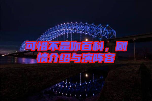 可惜不是你百科，劇情介紹與演陣容