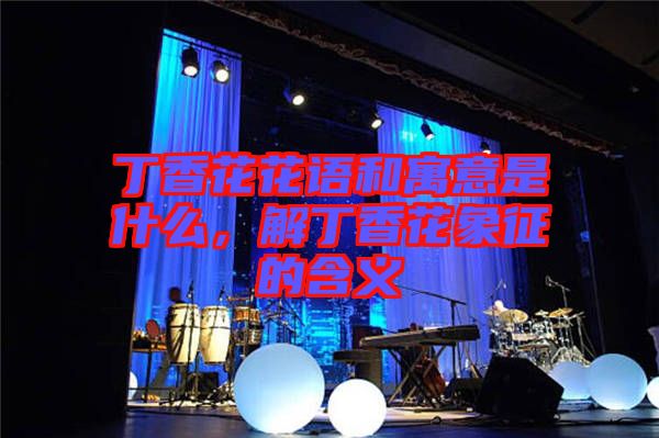丁香花花語和寓意是什么,解丁香花象征的含義