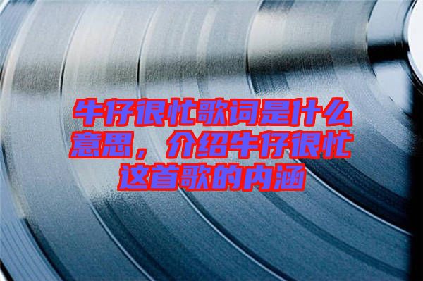 牛仔很忙歌詞是什么意思,介紹牛仔很忙這首歌的內涵
