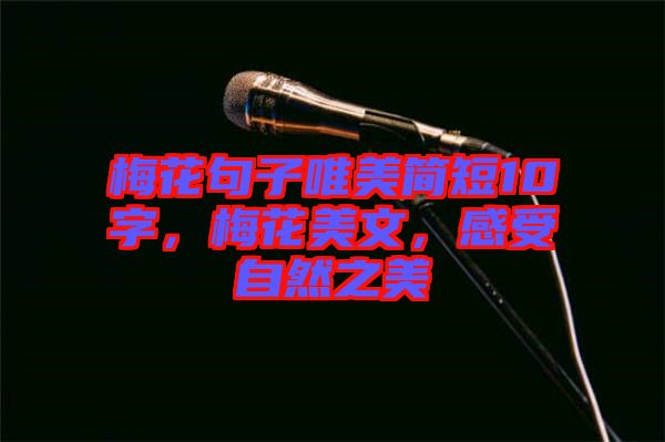 梅花句子唯美簡短10字，梅花美文，感受自然之美
