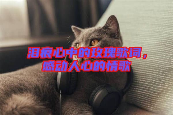淚痕心中的玫瑰歌詞,感動人心的情歌