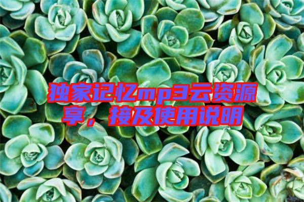獨家記憶mp3云資源享,接及使用說明
