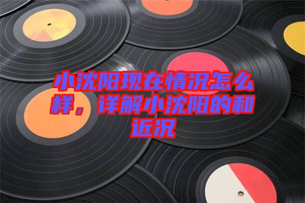 小沈陽現(xiàn)在情況怎么樣，詳解小沈陽的和近況