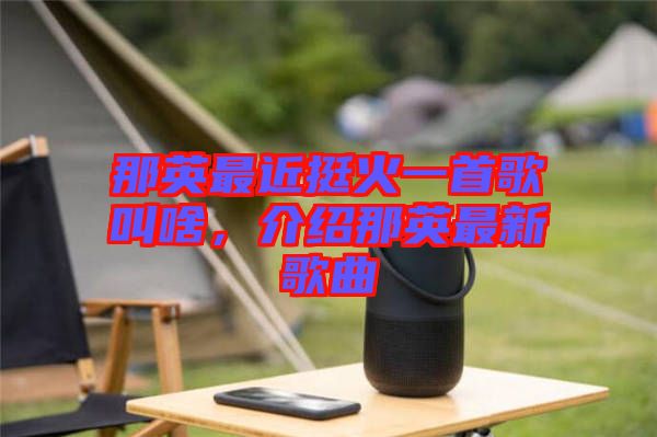 那英最近挺火一首歌叫啥,介紹那英最新歌曲