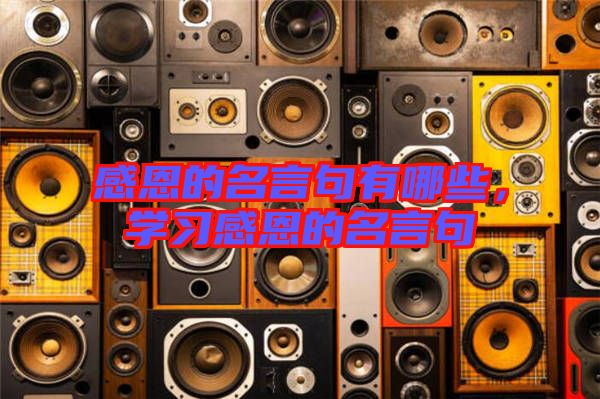感恩的名言句有哪些,學(xué)習(xí)感恩的名言句