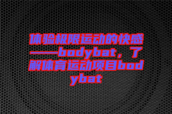 體驗極限運動的快感——bodybat,了解體育運動項目bodybat