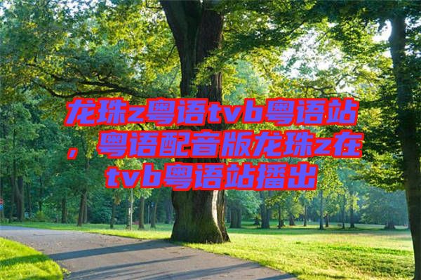 龍珠z粵語tvb粵語站,粵語配音版龍珠z在tvb粵語站播出